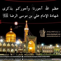 شهادات الأئمة 